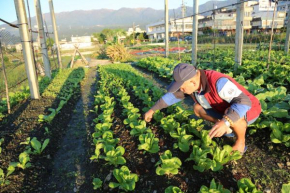菜爺爺親子蔬宿Vegepapa B&B